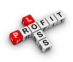 Bimehsara Com Profit